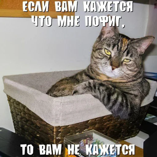 Sticker СИГАРНЫЙ КЛУБЪ 86 - 8