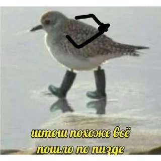 Стикер 🥵 | via @StickedApp_bot - 10