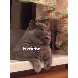 Стикер 🥵 | via @StickedApp_bot - 5