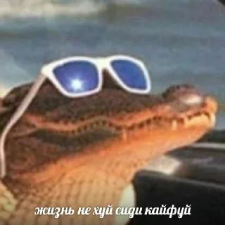 Стикер 🥵 | via @StickedApp_bot - 4