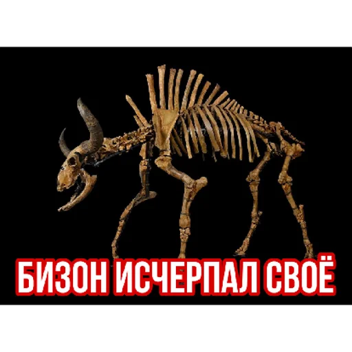 Sticker sticked_1060099337_3_by_StickedApp_bot - 1