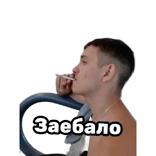 Sticker Додеки | via @StickedApp_bot - 5
