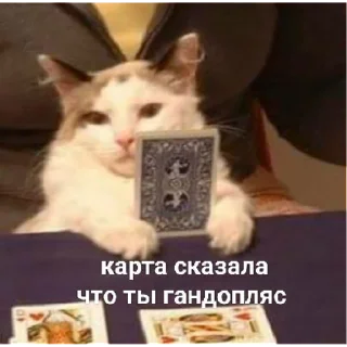 Sticker ух, любимки | via sticked.app - 5