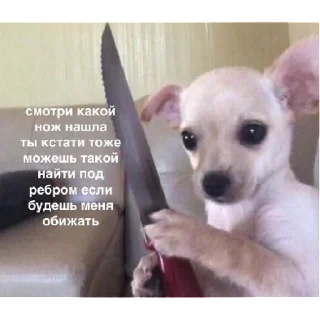 Sticker ух, любимки | via sticked.app - 6