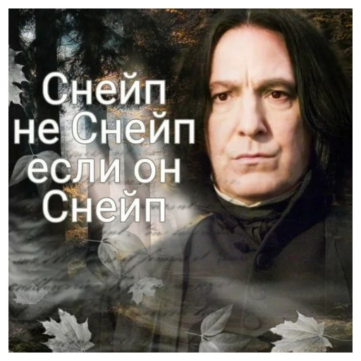 снейпдора канон | via sticked.app - 