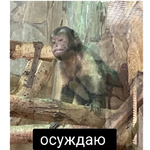 Sticker sticked_1312721676_1_by_StickedApp_bot - 1