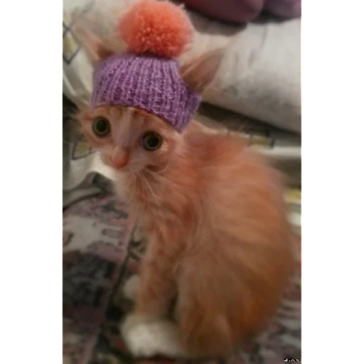 Sticker sticked_1323550814_1_by_StickedApp_bot - 1