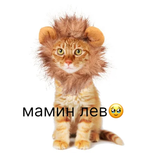 Sticker sticked_1323550814_1_by_StickedApp_bot - 1