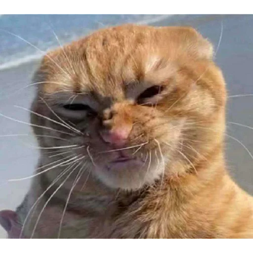 мерзотышиМа | via sticked.app - 