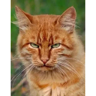 Sticker мерзотышиМа | via sticked.app - 1