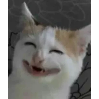 Sticker мерзотышиМа | via sticked.app - 7