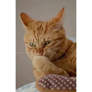 Sticker мерзотышиМа | via sticked.app - 10