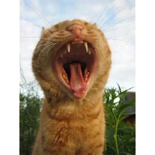 Sticker мерзотышиМа | via sticked.app - 6