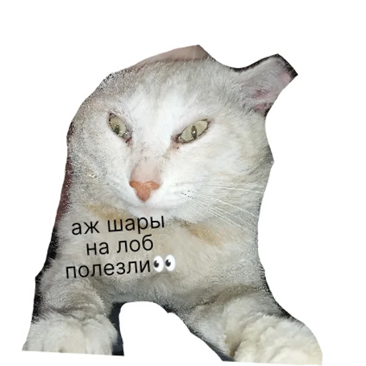 Sticker ебать я ебоняшка  | via sticked.app - 6