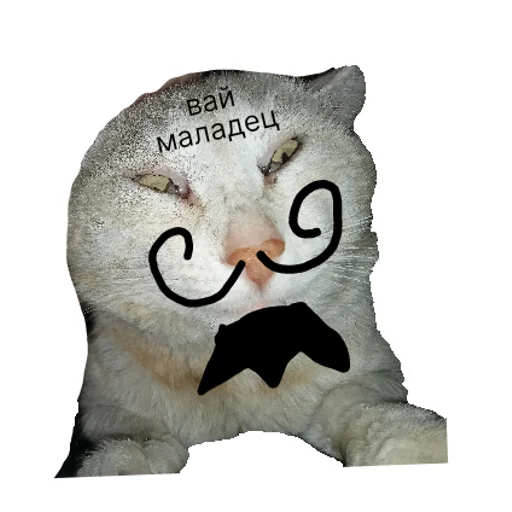 Sticker ебать я ебоняшка  | via sticked.app - 0