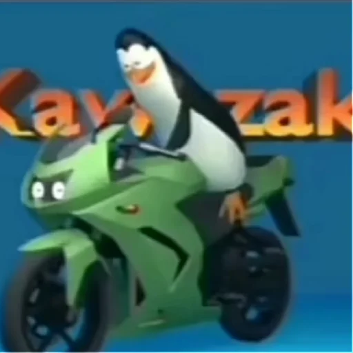 los pingüinos de pistas gascar  | via sticked.app - 