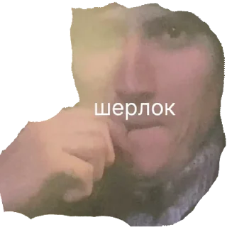 Sticker суета | via sticked.app - 2