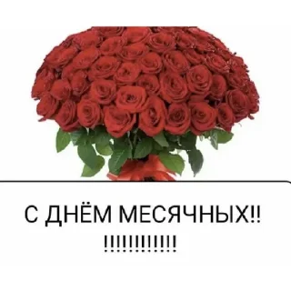 Стикер ¿wHaT? | via sticked.app - 1