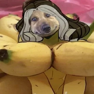 Sticker BenBel | via sticked.app - 1