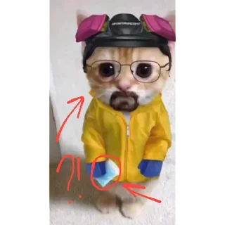 Sticker BenBel | via sticked.app - 0