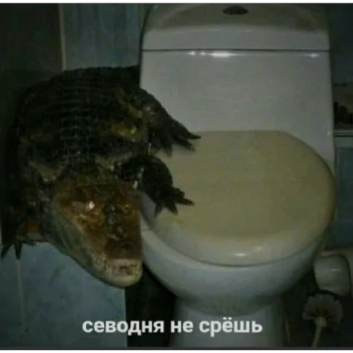 Sticker sticked_1405400429_1_by_stickedapp_bot - 1