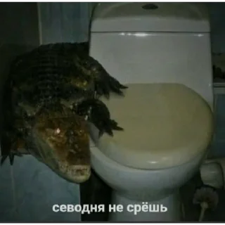 Sticker @TopYvsutxtg | via sticked.app - 3