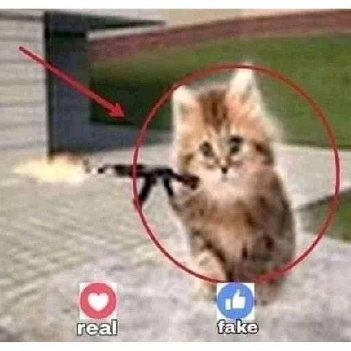 Sticker sticked_1411449366_1_by_StickedApp_bot - 1