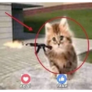 Sticker чо блин | via sticked.app - 6