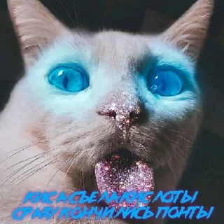 Sticker Сладкая булочка 😹 | via sticked.app - 9