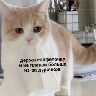 Sticker Сладкая булочка 😹 | via sticked.app - 5