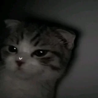 Sticker Сладкая булочка 😹 | via sticked.app - 11