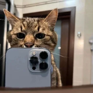 Sticker Сладкая булочка 😹 | via sticked.app - 7