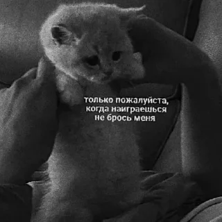 Sticker Сладкая булочка 😹 | via sticked.app - 3