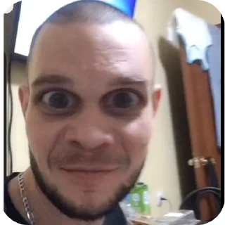 Стикер молдован | via @StickedApp_bot - 0