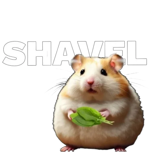 Sticker sticked_1519378388_3_by_stickedapp_bot - 1