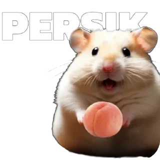 Sticker HOMYAK nts) - 4