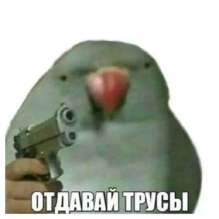 Стикер Хуйня | via sticked.app - 10