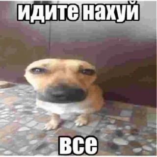 Sticker Райан Гослинг | via sticked.app - 11