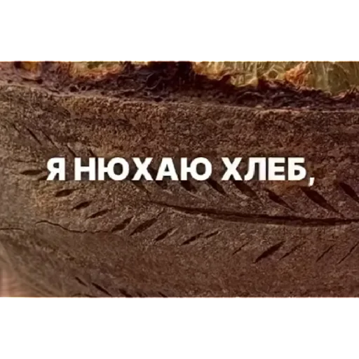 стикеры за 450 рублей  | via sticked.app - 