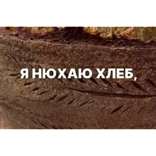 Sticker стикеры за 450 рублей  | via sticked.app - 1