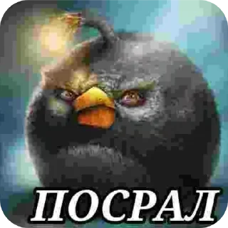 Sticker бля ну эт крч там Павел Дуров накачанный голенький - 5