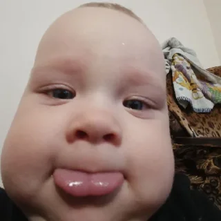 Sticker люти дима | via sticked.app - 2