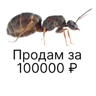 Стикер million_ants_pro_maxi | via sticked.app - 11