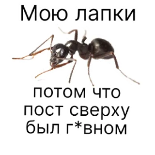 Стикер million_ants_pro_maxi | via sticked.app - 7