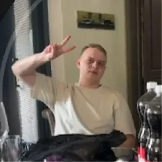 Стикер Мш потеряли хату | via sticked.app - 9