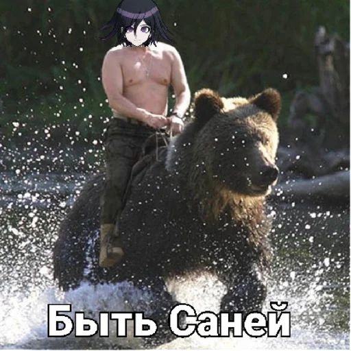 Sticker sticked_2050634674_1_by_StickedApp_bot - 1