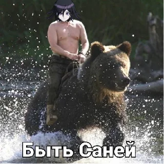 Sticker Кокичи мемчики | via sticked.app - 5