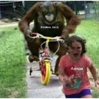 Sticker зайчик  | via sticked.app - 11