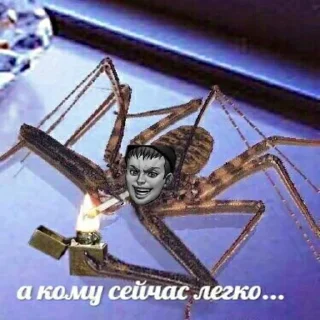 Sticker зайчик  | via sticked.app - 6