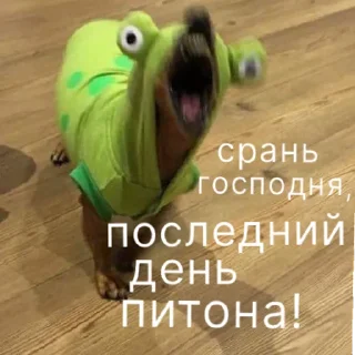 Стикер oh tamam  | via sticked.app - 11